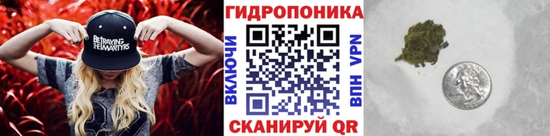 Каннабис THC 21% Купить закладки Демидов